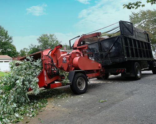 Jtree Service